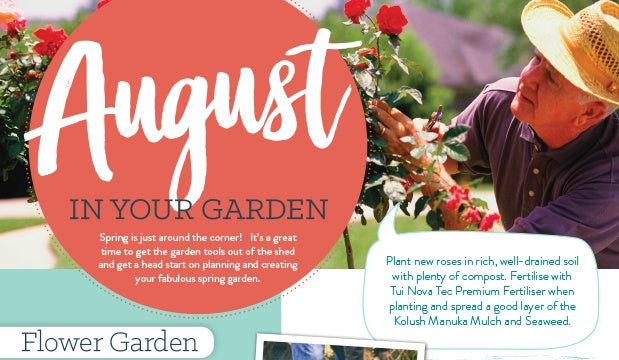 August in your garden