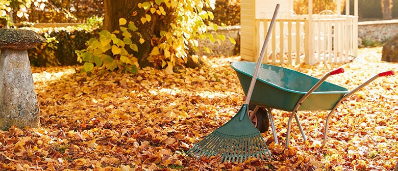 Your Autumn Garden Tasks