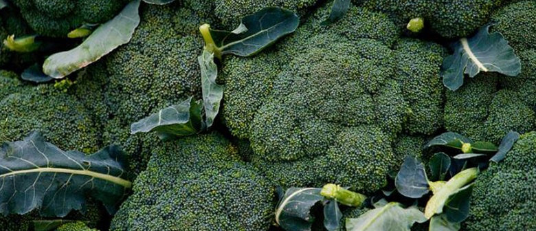 How to Grow Broccoli