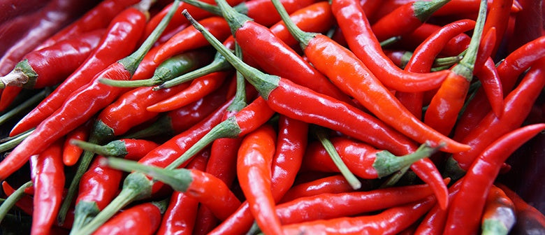 Spicy Food Fanatics: Homegrown chillies