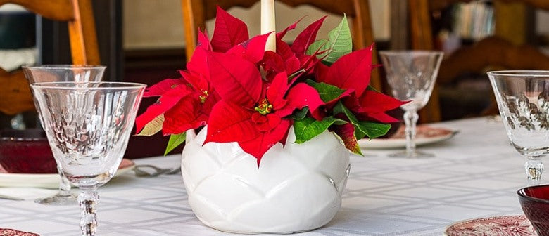 Christmas Centrepieces with Plants