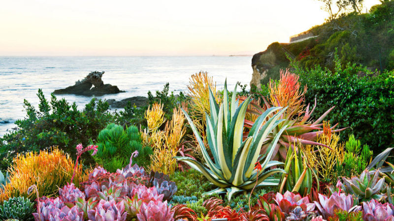 How to Grow in Coastal Environments