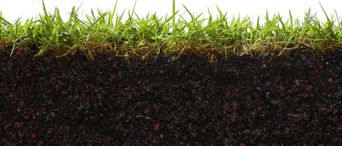 A Clever Way to Compost