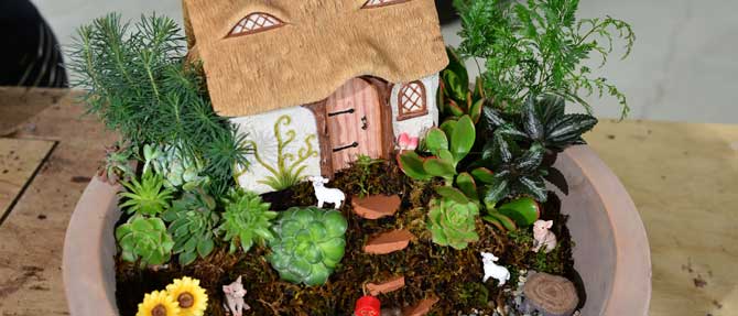 DIY Miniature Garden