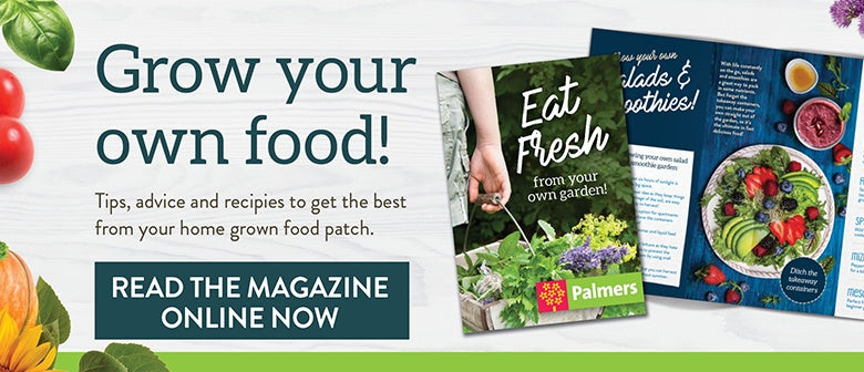 Eat fresh from your own garden