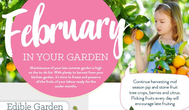 February in your garden