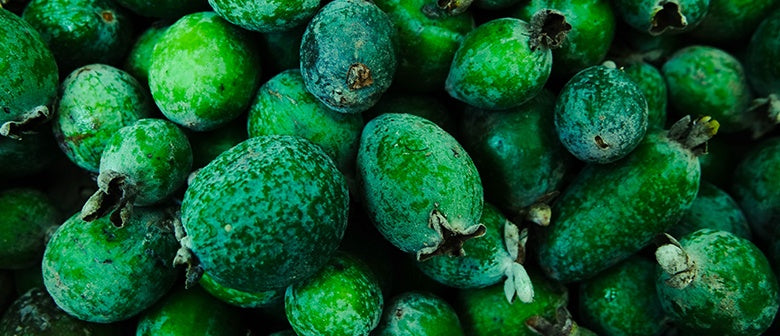 FAQs: Feijoas