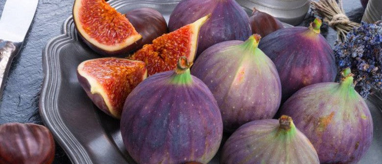 Delicious Fig Recipes