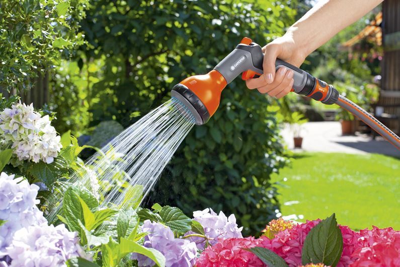How to Save Water in Your Garden