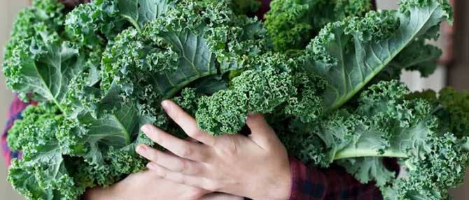 What's So Good About Kale?