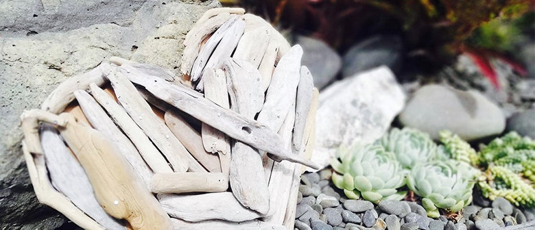 DIY Driftwood Craft