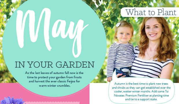 May in your garden