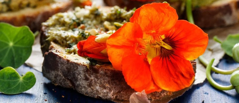 Nasturtium Recipes