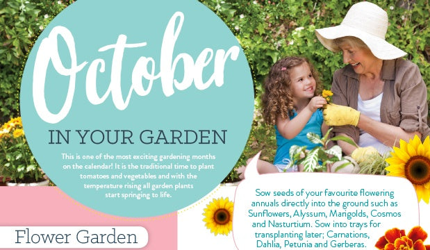 October in your garden