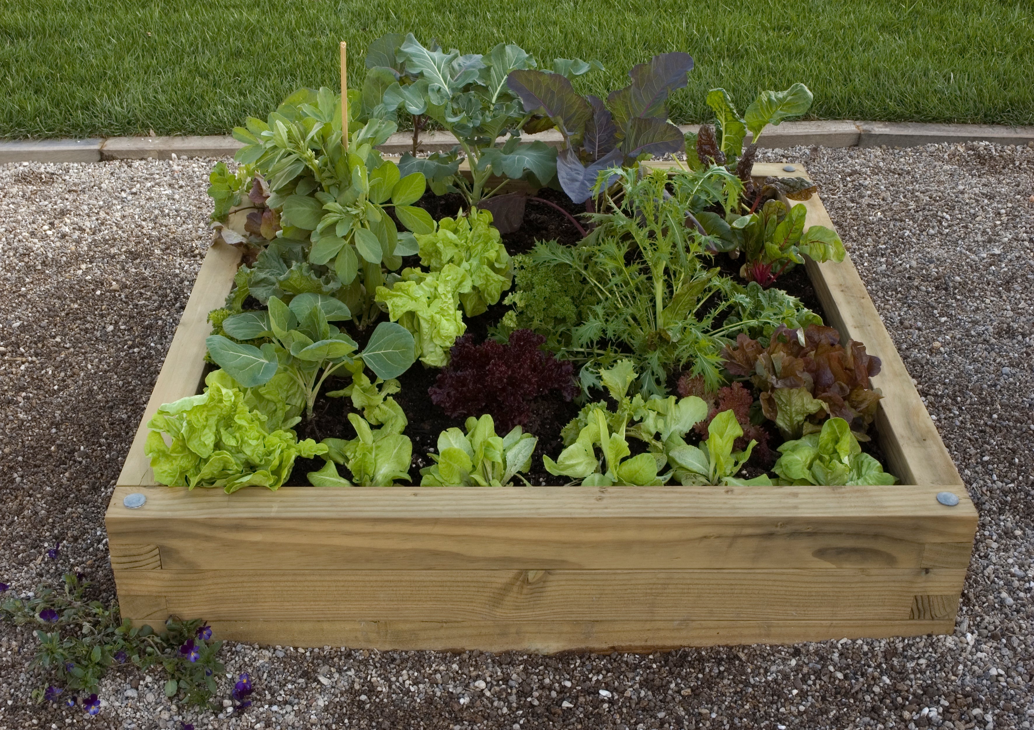 Planting Box Greenhouse Timber Raised Garden Beds Easy DIY Kits