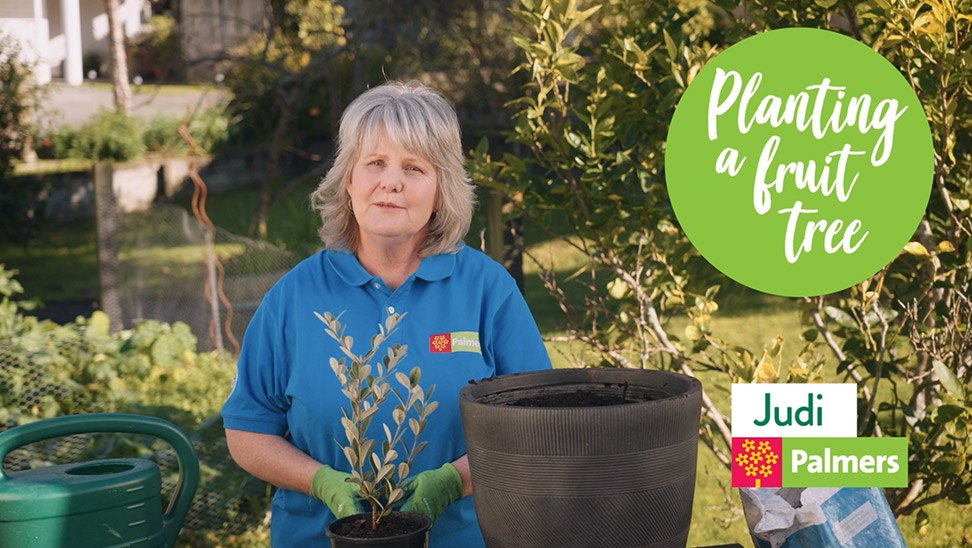 How to Plant a Fruit Tree in a Pot