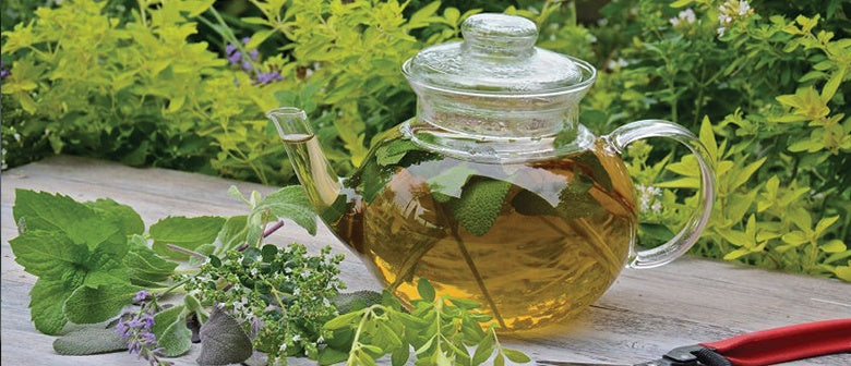 Grow a Tea Garden at Home