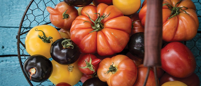 Our Top 9 Tomato Tips