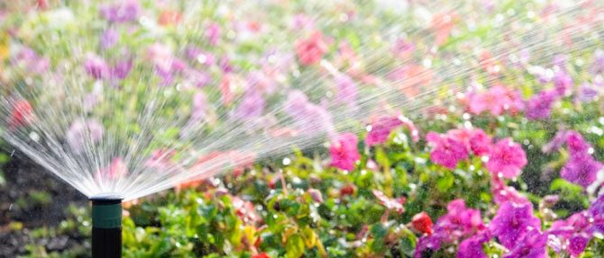 Watering the Garden