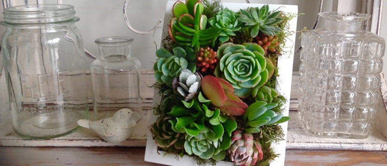 DIY: How to Make a Living Frame