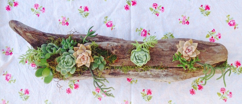DIY: Driftwood Planter