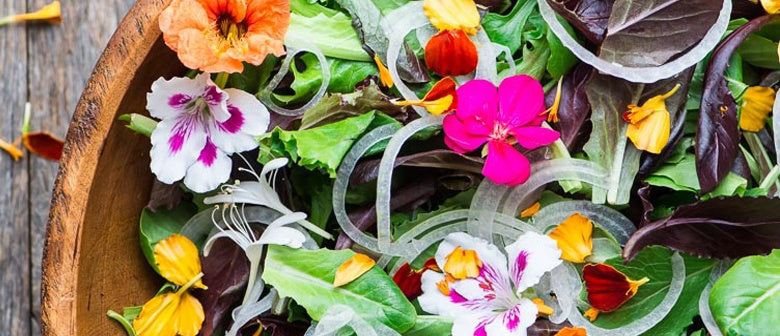Top 10 Edible Flowers