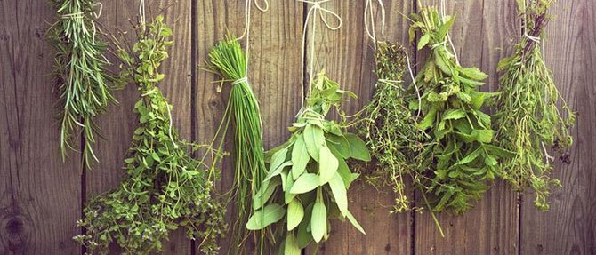 Making Bone Broth with Fresh Winter Herbs