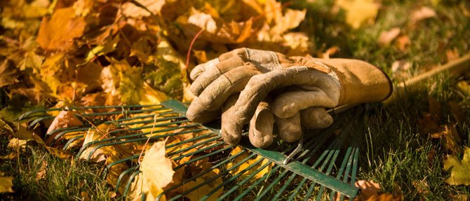 Autumn is Nature's Planting Time