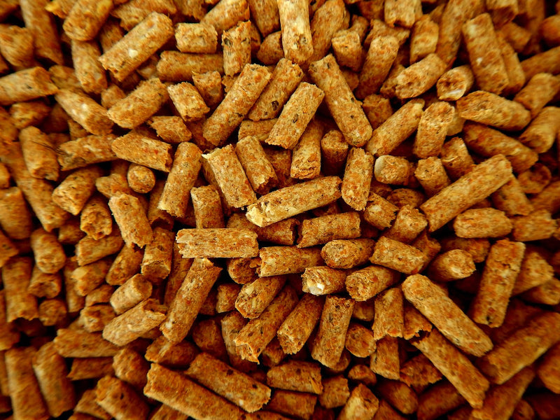 Why Sheep Pellets Are the Perfect Organic Fertilizer for Your Garden