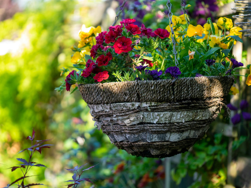 All Things Hanging Baskets