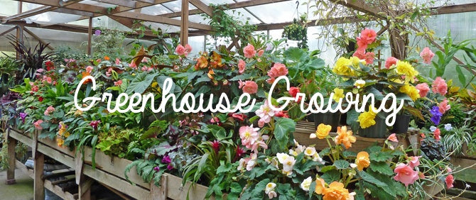 Greenhouse Growing