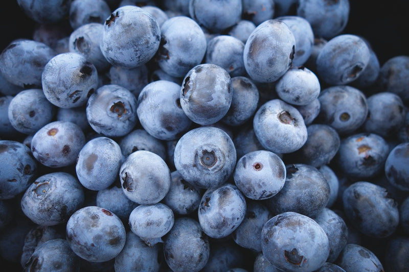 🫐 How to Grow Blueberries in New Zealand
