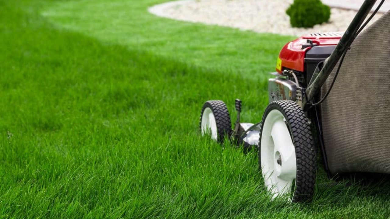 How to Care for Your Lawn