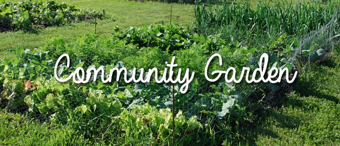 Community Garden