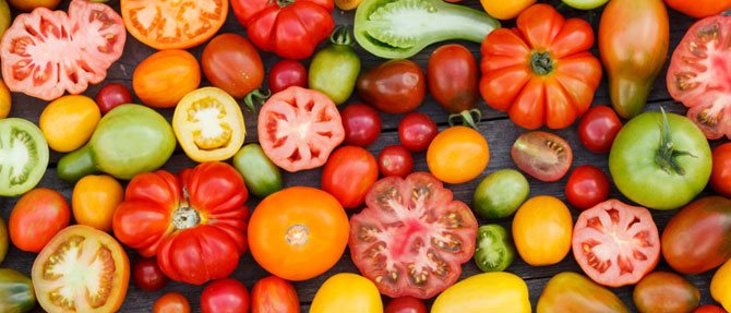It's Tomato Time!