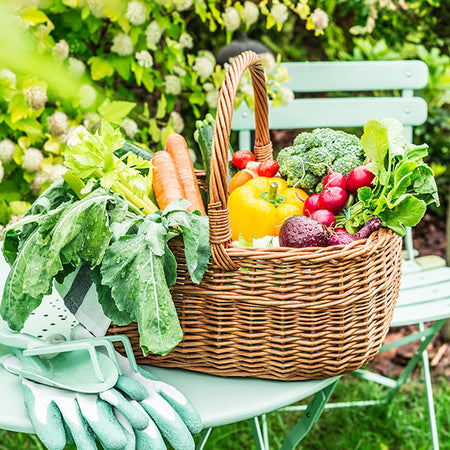 Vegetables & Herbs