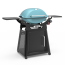 Weber Q 3200N ULPG Sky Blue