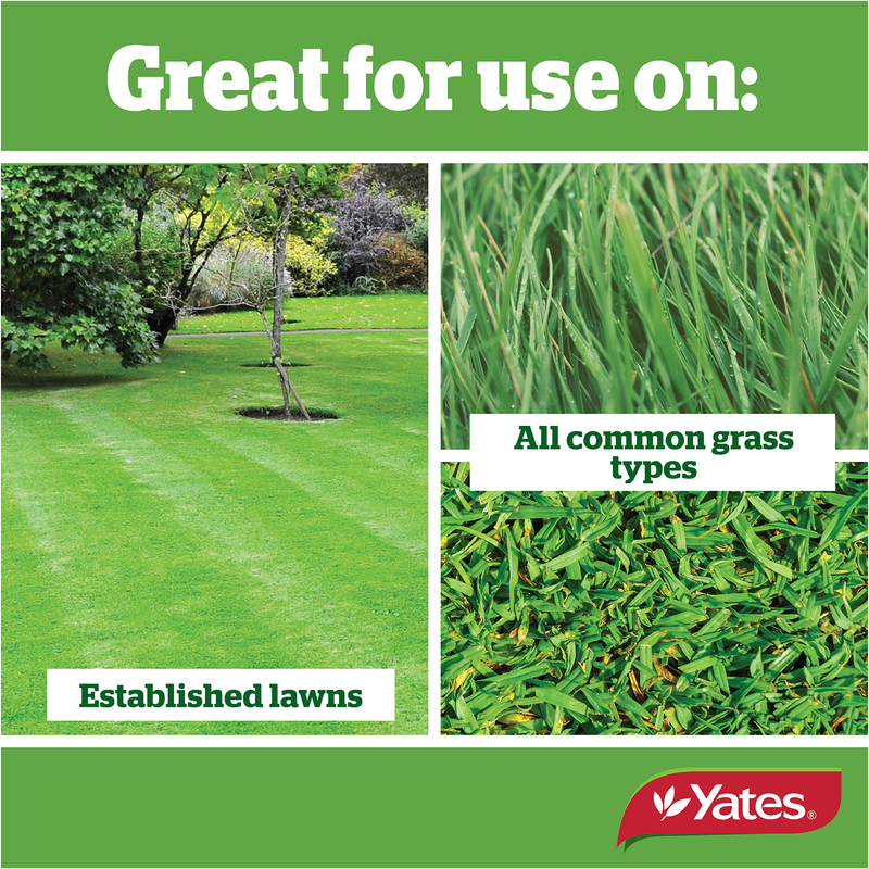 Yates Lawn Fertiliser Quarterly - Hose On - 2L