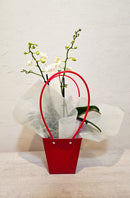 Mini Orchid In Tapered Bag - 9CM