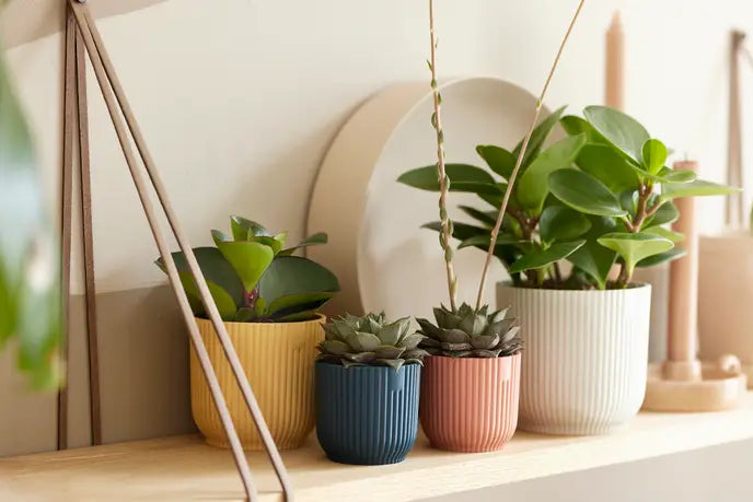 Vibes Pot Yellow 11CM