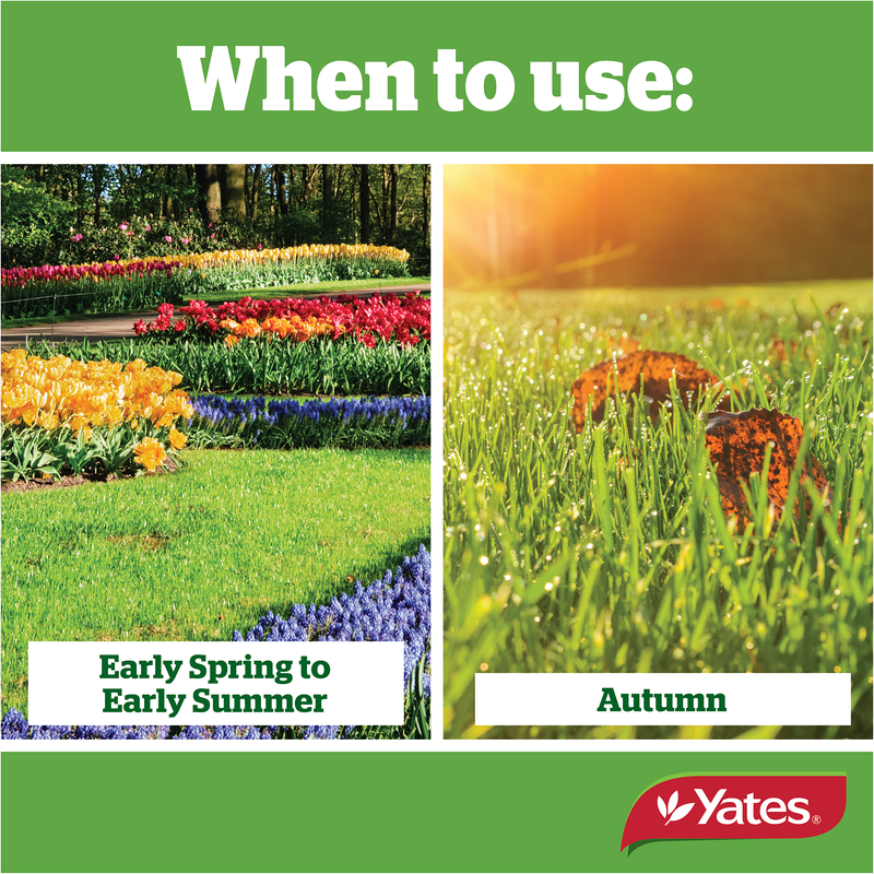 Yates Lawn Fertiliser Quarterly - Hose On - 2L