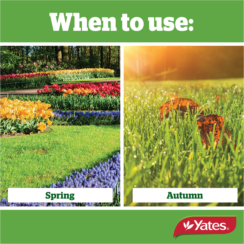 Yates Lawn Fertiliser for New Lawns - 3KG