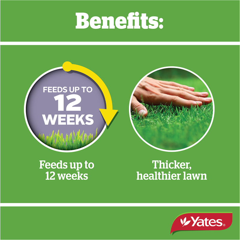 Yates Lawn Fertiliser Quarterly - Hose On - 2L