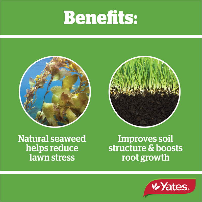 Yates Lawn Fertiliser Quarterly - Hose On - 2L
