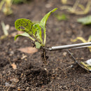 Cyclone Stainless Steel Hand Weeder