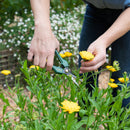 Cyclone Floral Snips