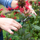 Cyclone Floral Snips