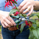 Cyclone Floral Snips