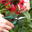 Cyclone Floral Snips