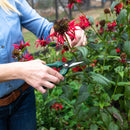 Cyclone Floral Snips